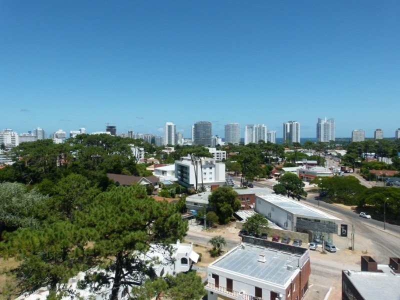 Departamento en alquiler, Roosevelt